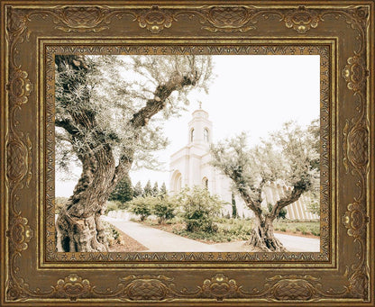 Feather River California Serenity