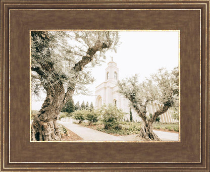 Feather River California Serenity