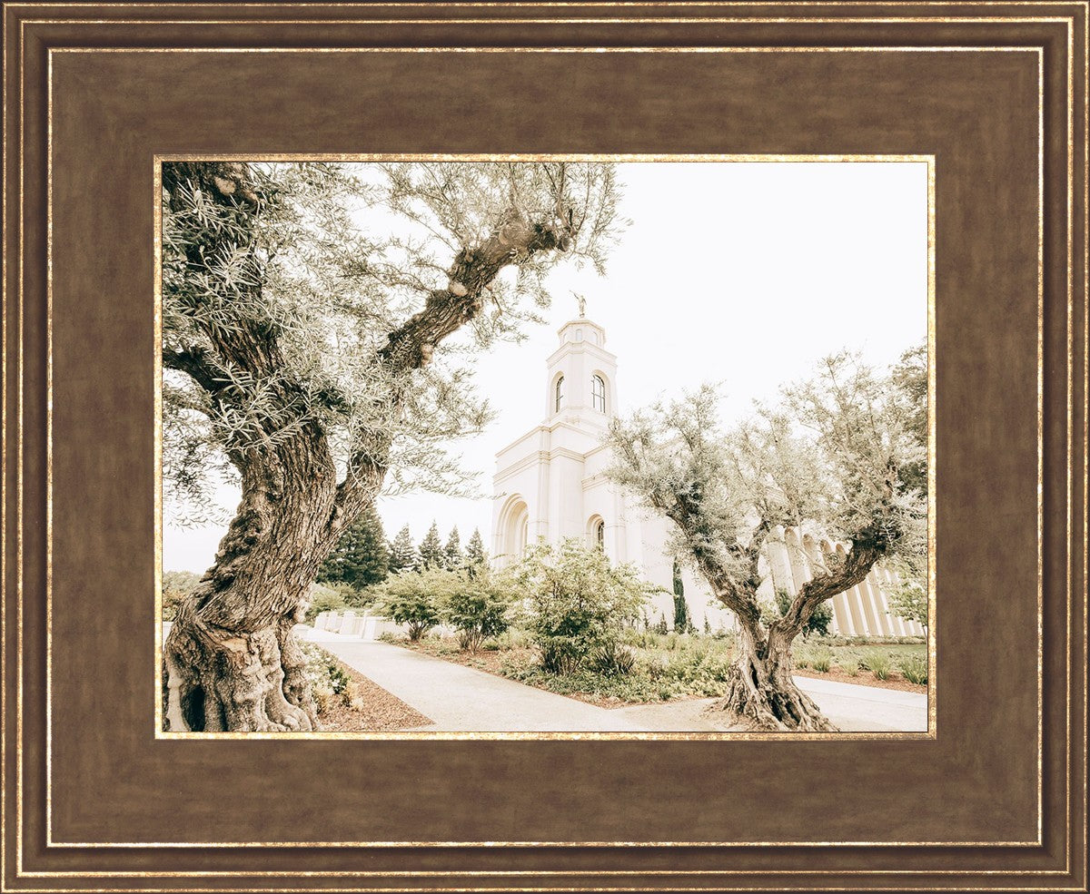 Feather River California Serenity