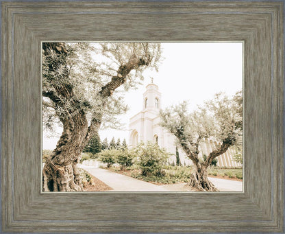 Feather River California Serenity