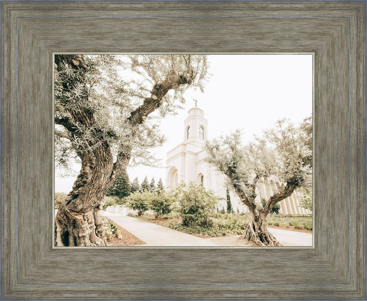 Feather River California Serenity