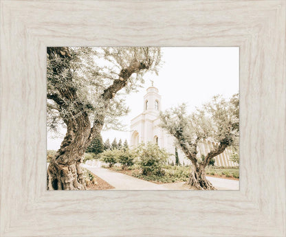 Feather River California Serenity