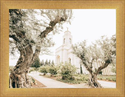 Feather River California Serenity