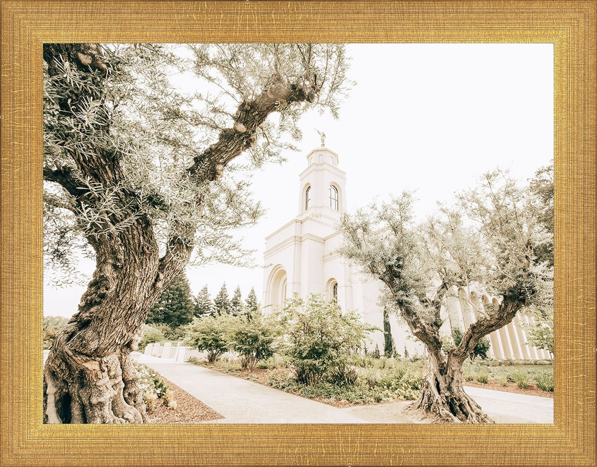 Feather River California Serenity