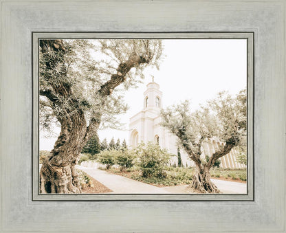 Feather River California Serenity