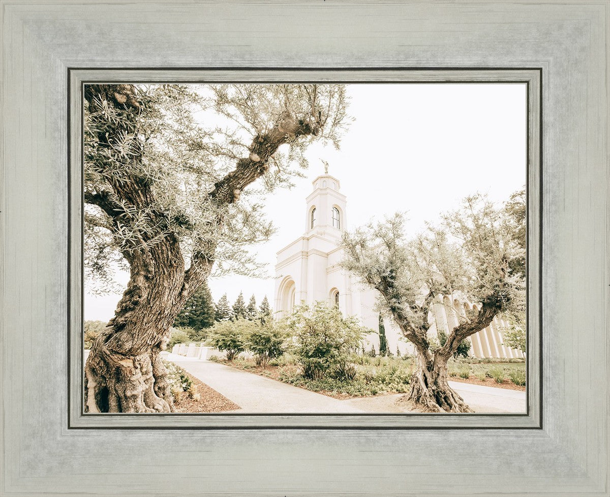 Feather River California Serenity