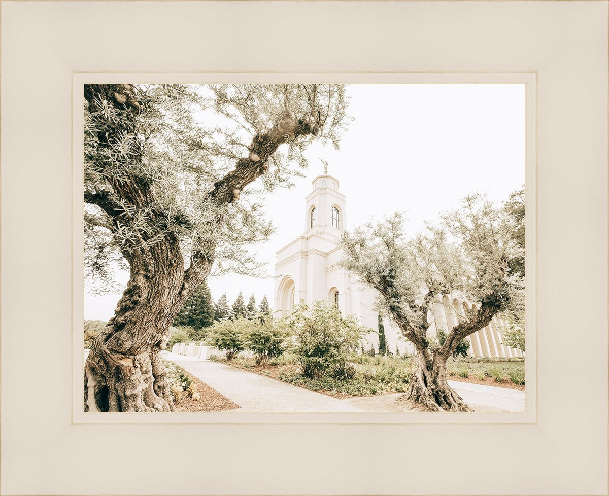 Feather River California Serenity