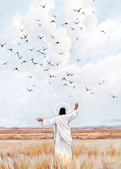 Consider The Birds in The Sky