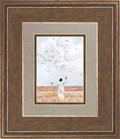 Consider The Birds in The Sky