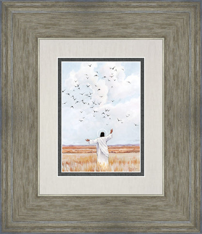 Consider The Birds in The Sky