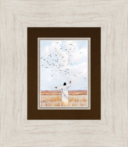 Consider The Birds in The Sky