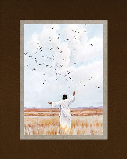 Consider The Birds in The Sky