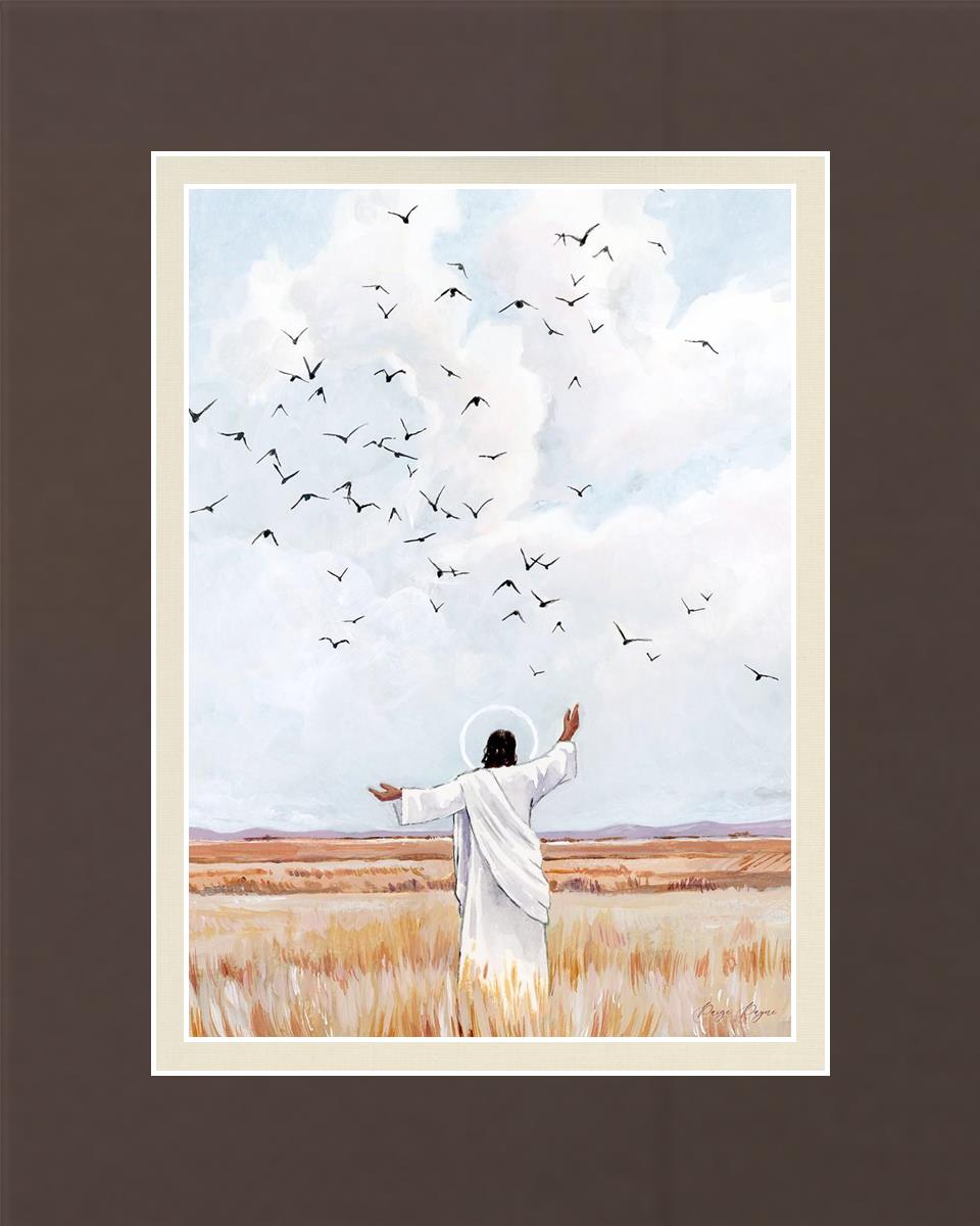 Consider The Birds in The Sky