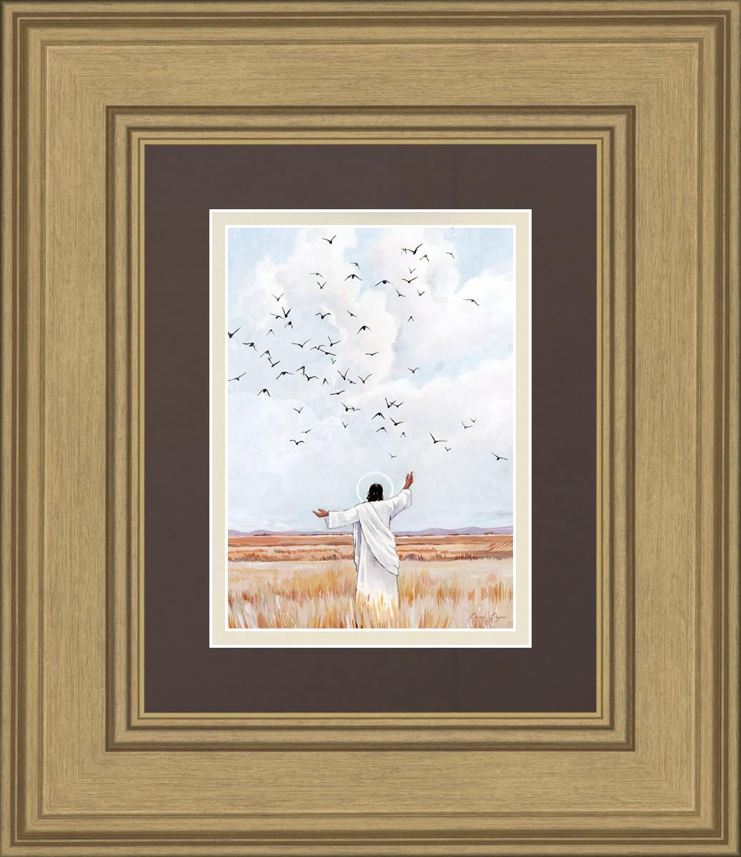 Consider The Birds in The Sky