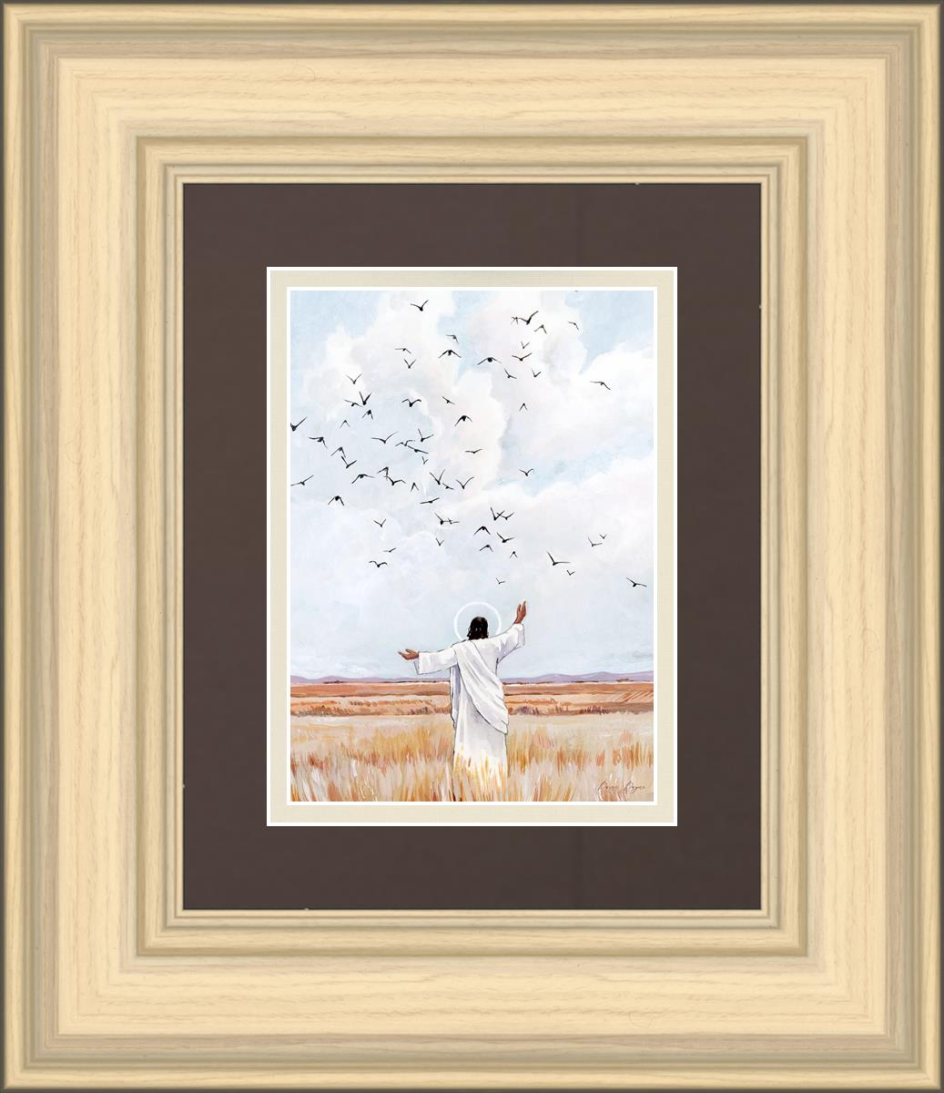 Consider The Birds in The Sky