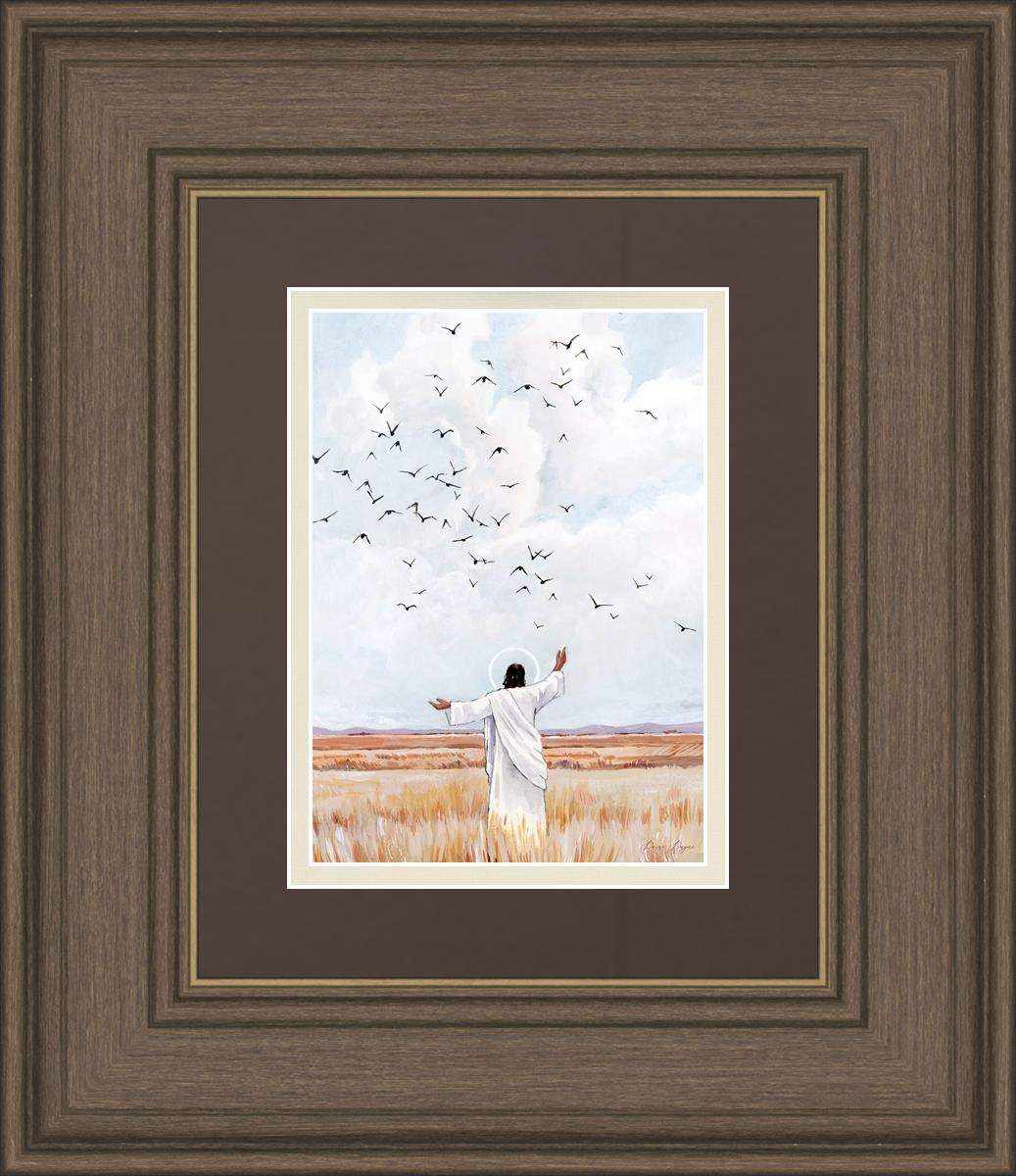 Consider The Birds in The Sky
