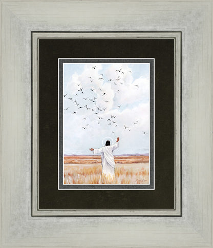 Consider The Birds in The Sky