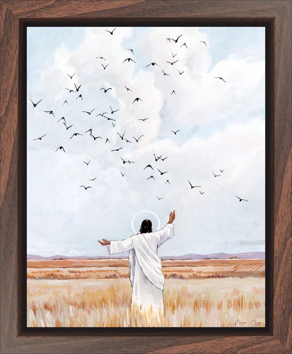 Consider The Birds in The Sky