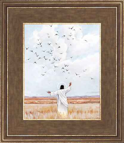 Consider The Birds in The Sky