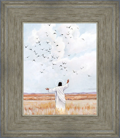 Consider The Birds in The Sky