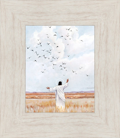 Consider The Birds in The Sky