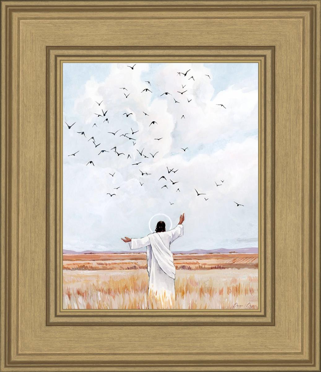 Consider The Birds in The Sky