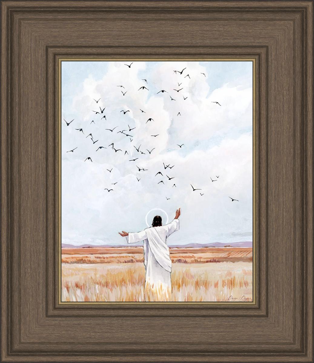 Consider The Birds in The Sky