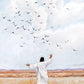 Consider The Birds in The Sky