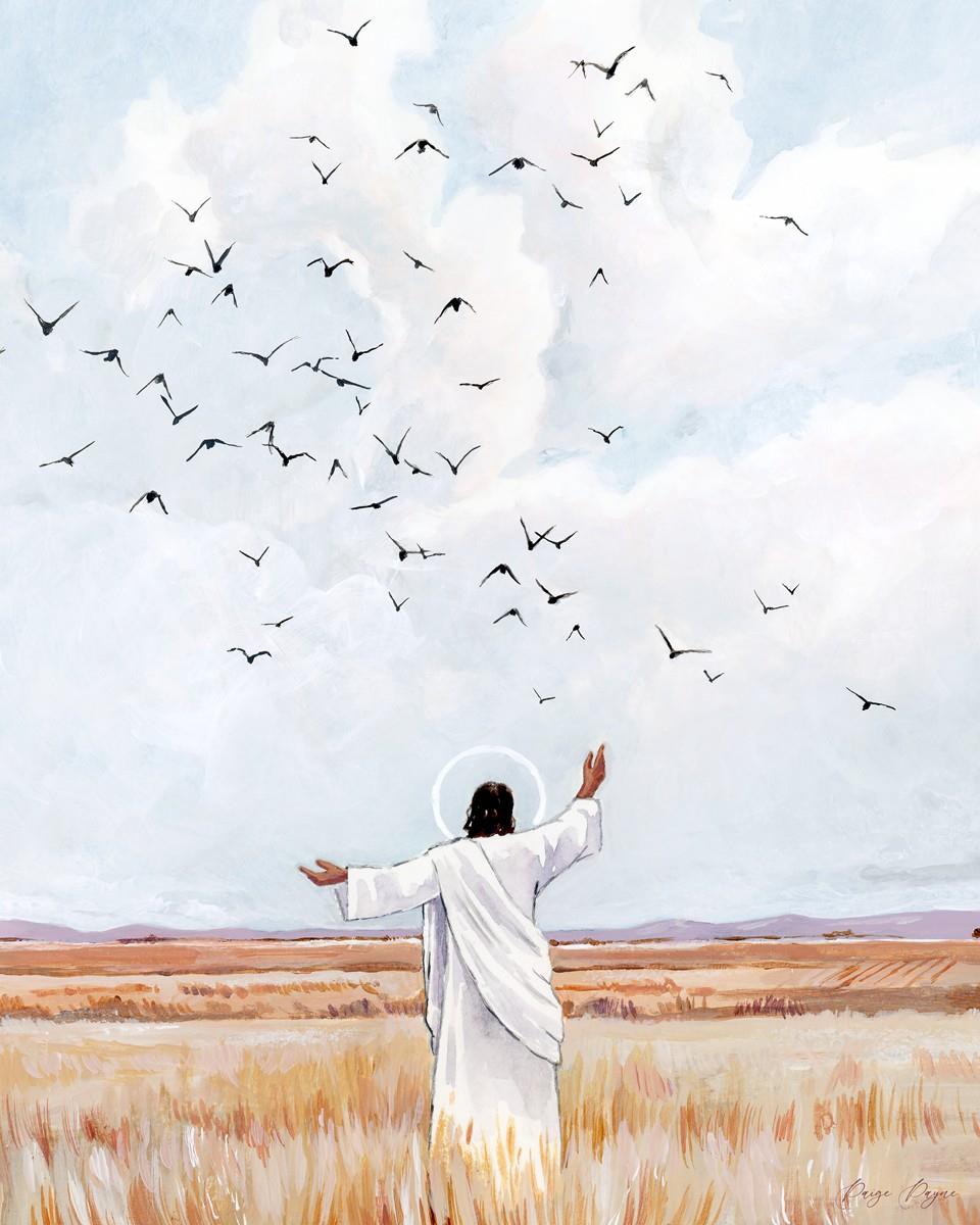 Consider The Birds in The Sky