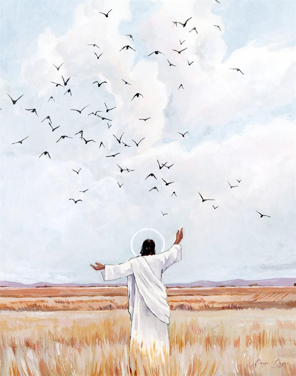 Consider The Birds in The Sky Gallery Wrap