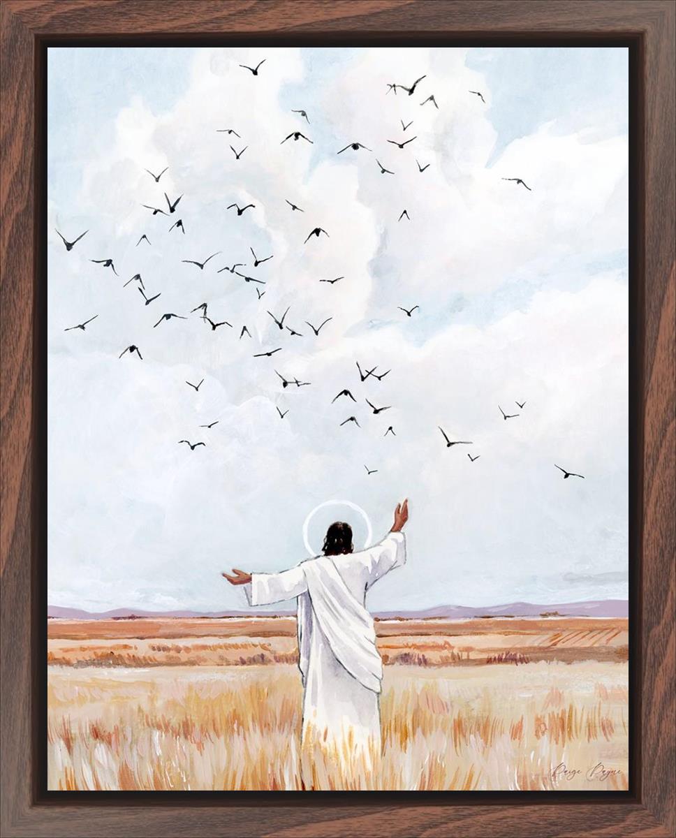 Consider The Birds in The Sky
