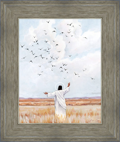 Consider The Birds in The Sky