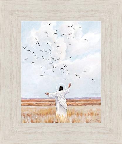 Consider The Birds in The Sky