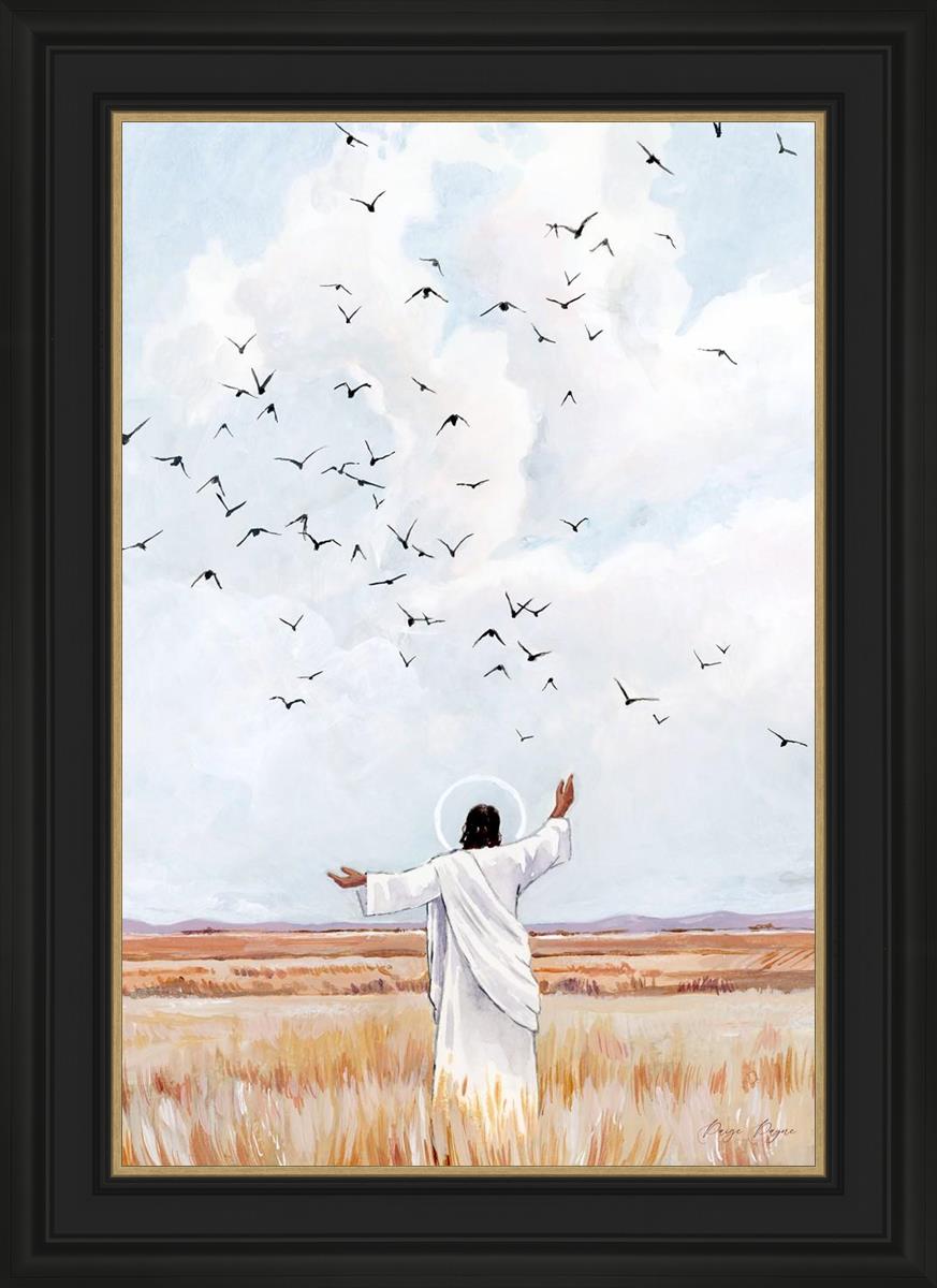 Consider The Birds in The Sky