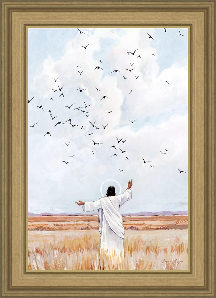Consider The Birds in The Sky