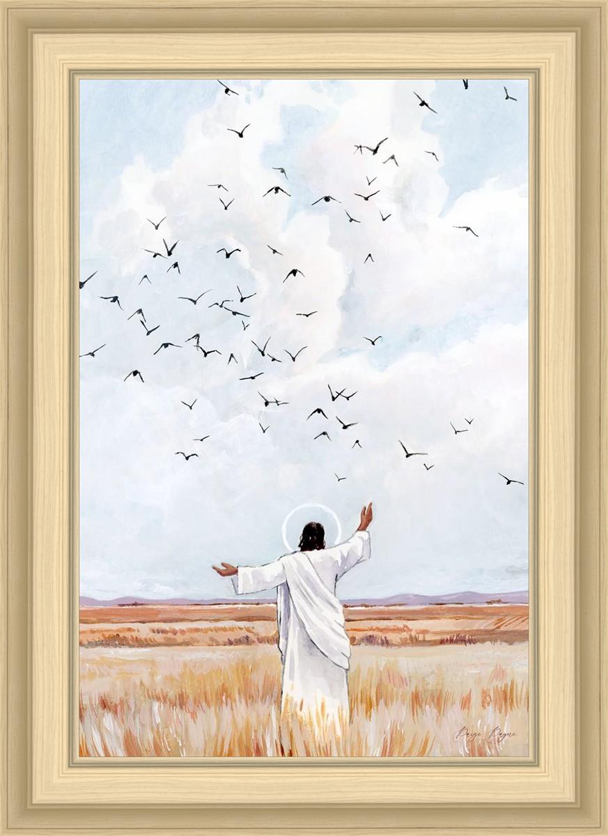 Consider The Birds in The Sky