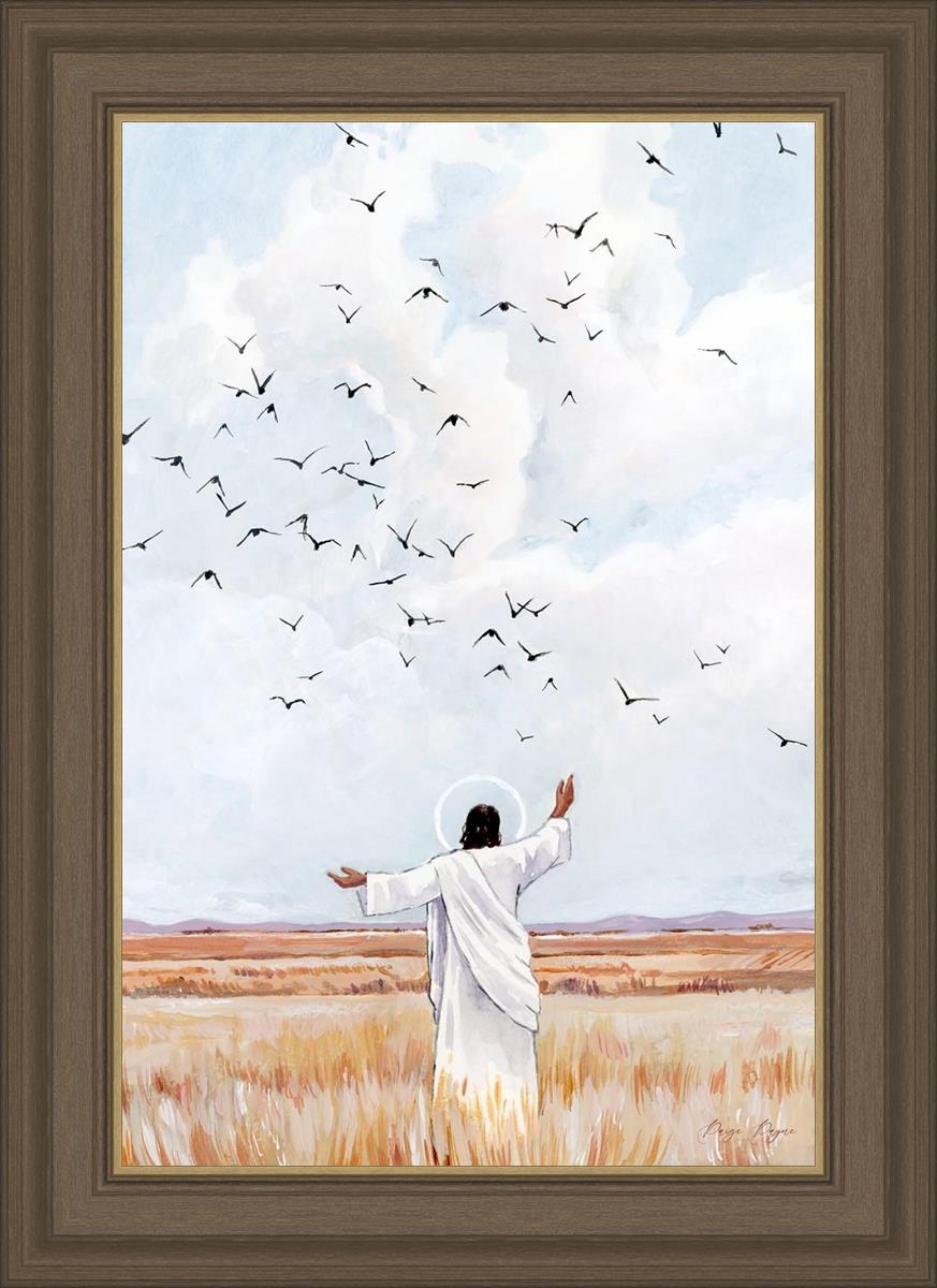 Consider The Birds in The Sky