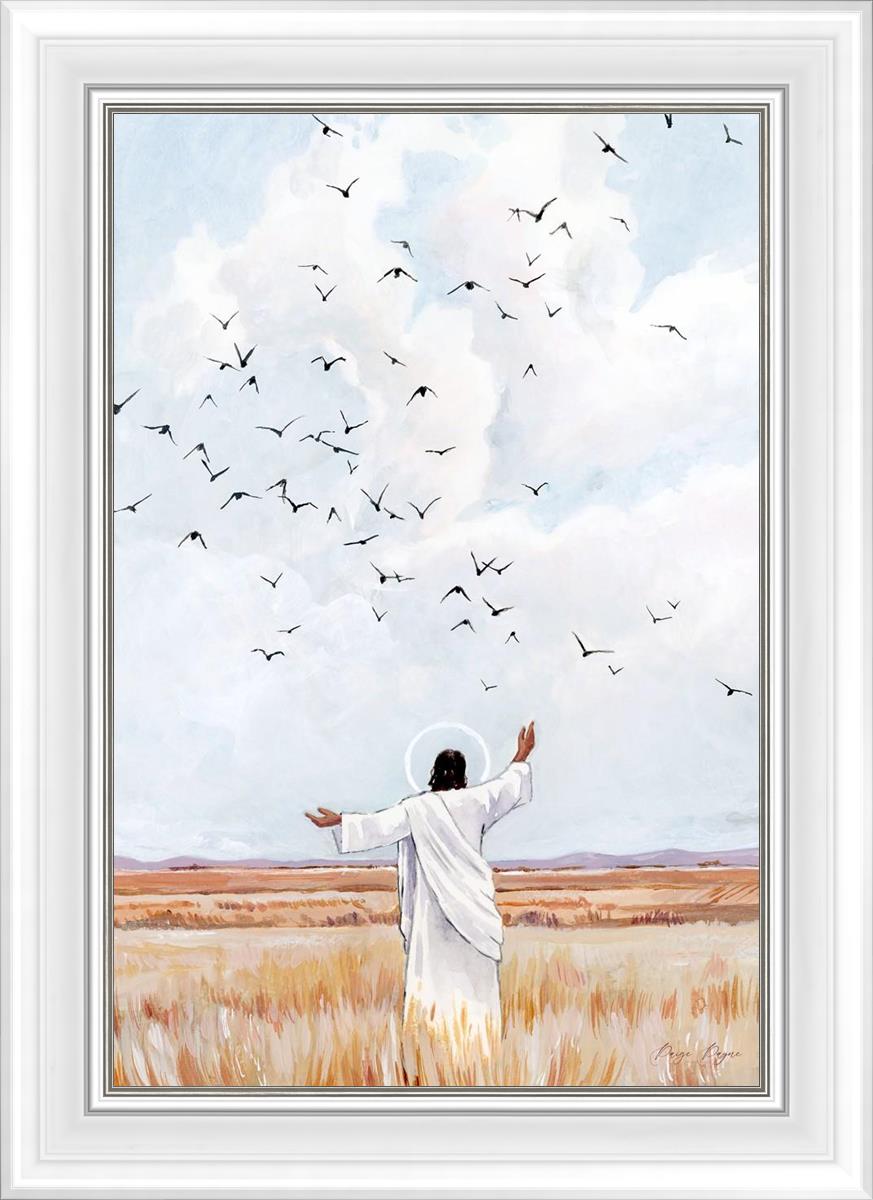 Consider The Birds in The Sky