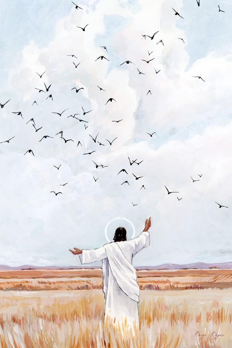 Consider The Birds in The Sky Gallery Wrap