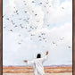 Consider The Birds in The Sky