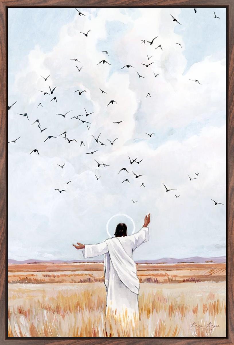 Consider The Birds in The Sky