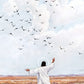 Consider The Birds in The Sky