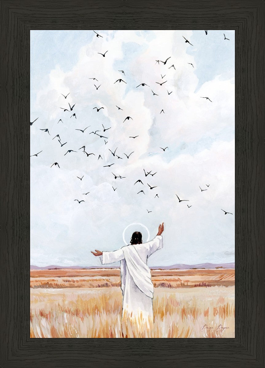 Consider The Birds in The Sky