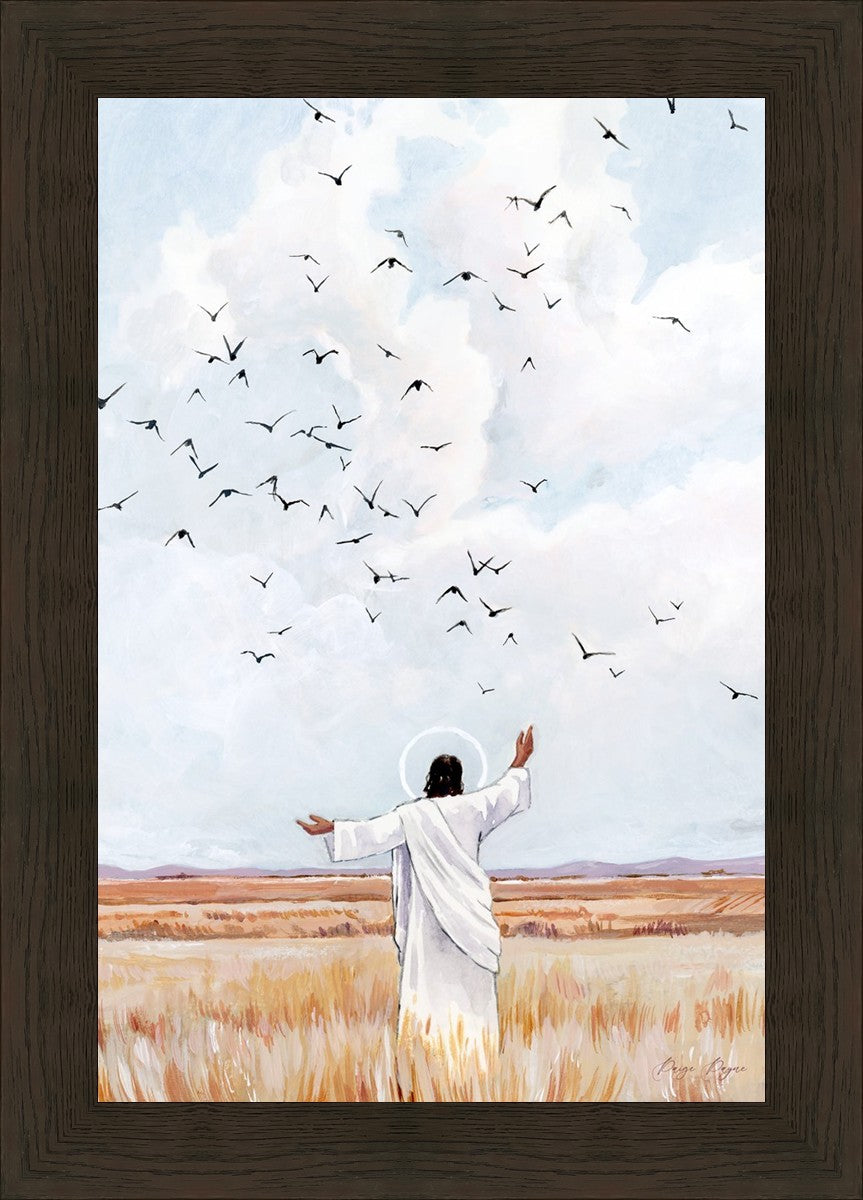 Consider The Birds in The Sky