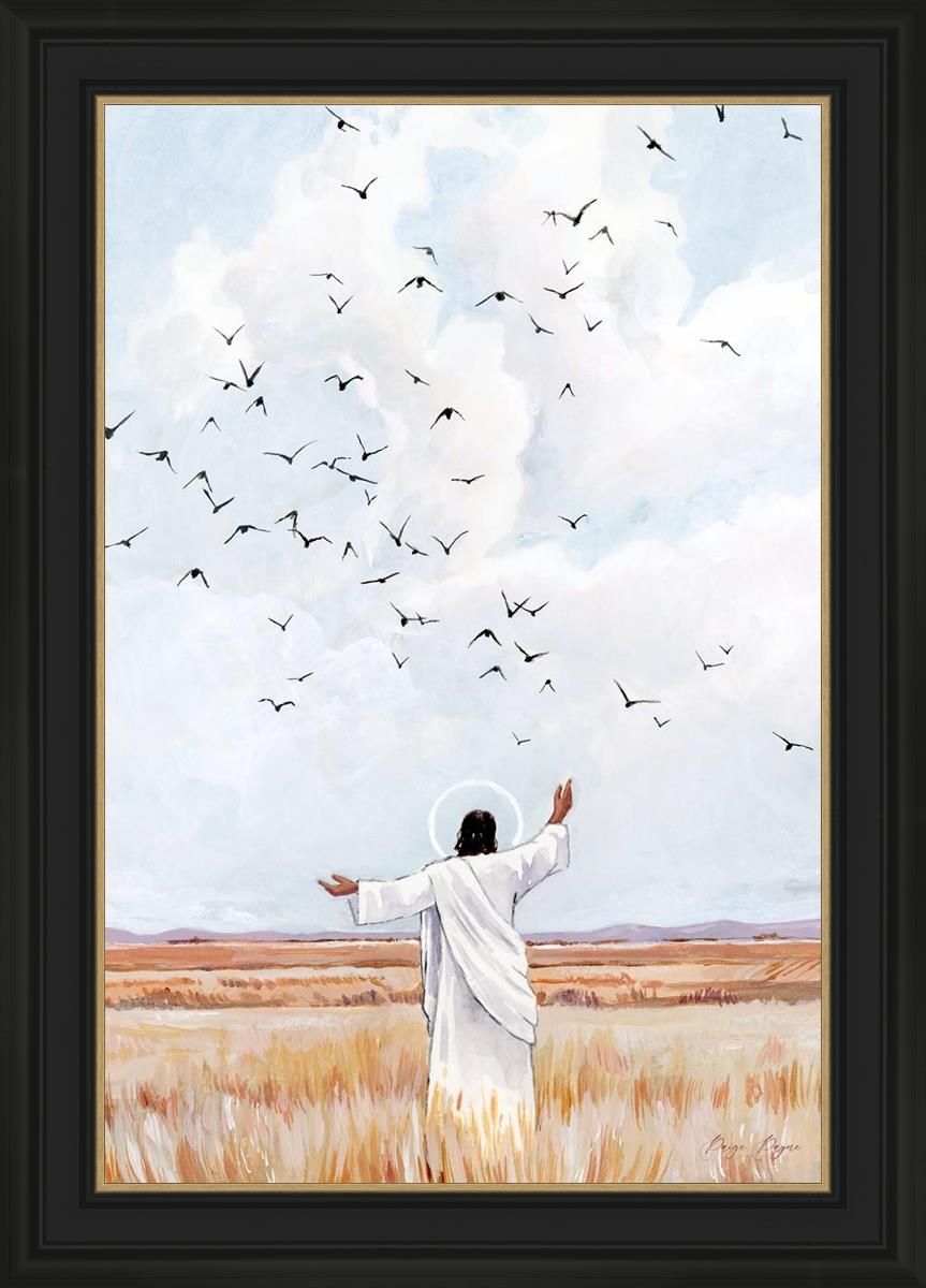 Consider The Birds in The Sky