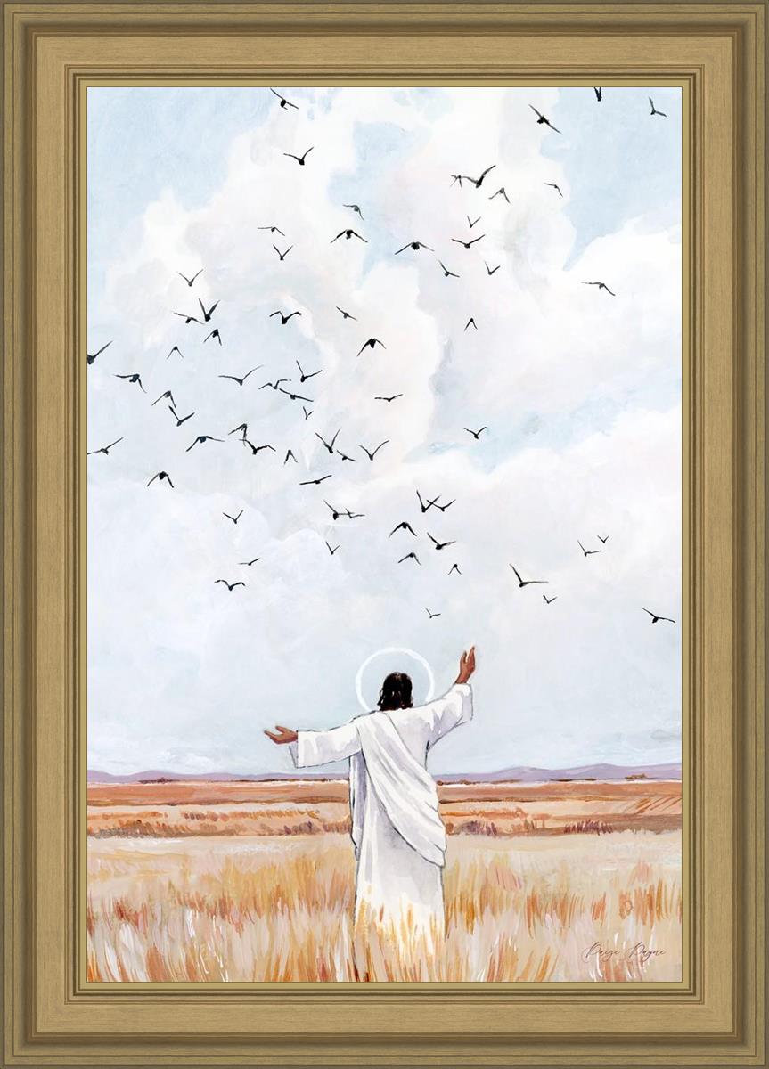 Consider The Birds in The Sky