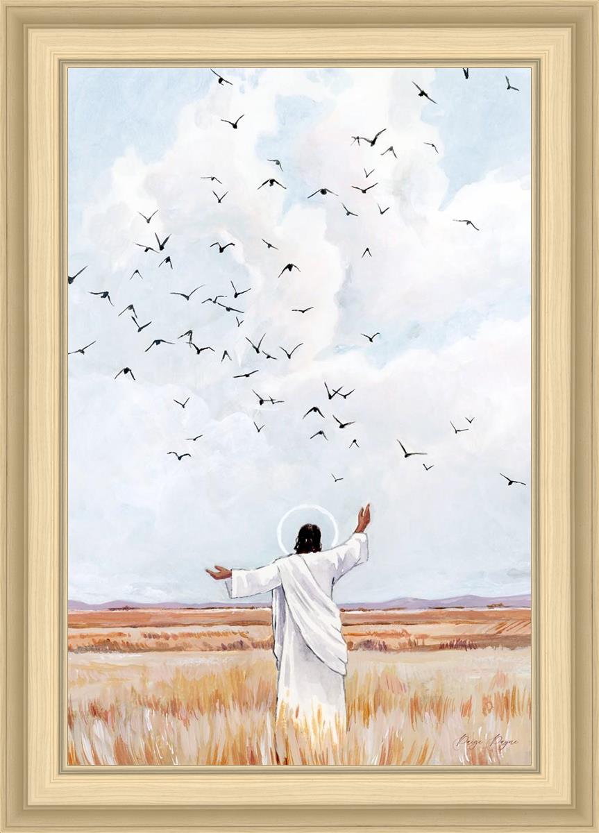 Consider The Birds in The Sky