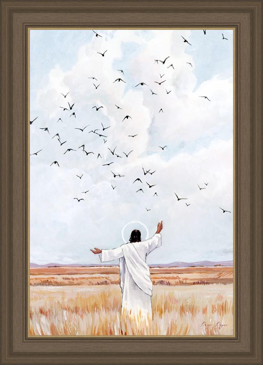 Consider The Birds in The Sky