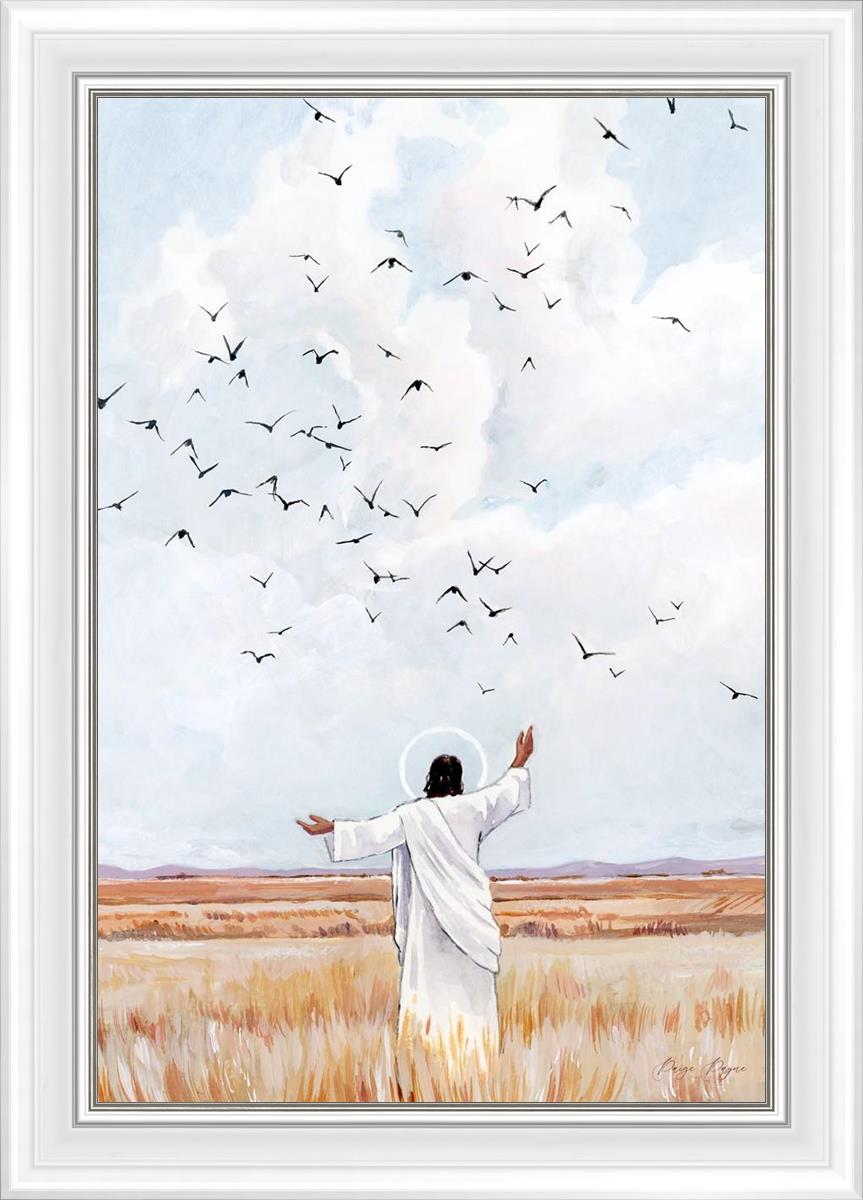 Consider The Birds in The Sky