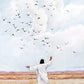Consider The Birds in The Sky